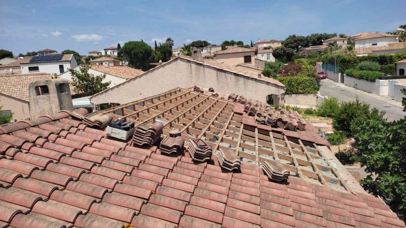 Couvreur spécialisé dans les toitures écologiques à Montpellier